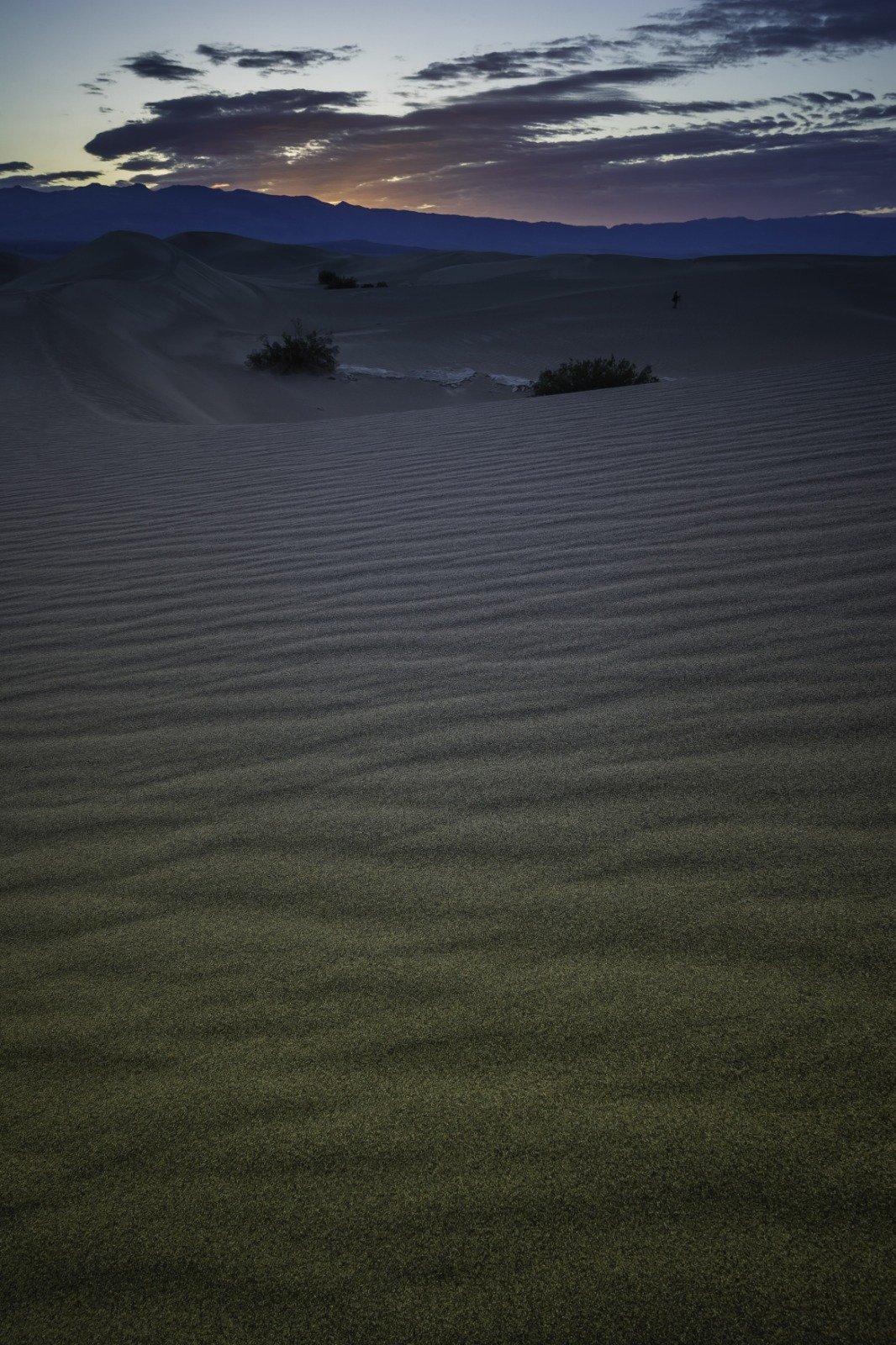 Leitos de Ribeiros no Deserto.