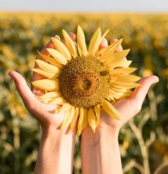 Setembro Amarelo